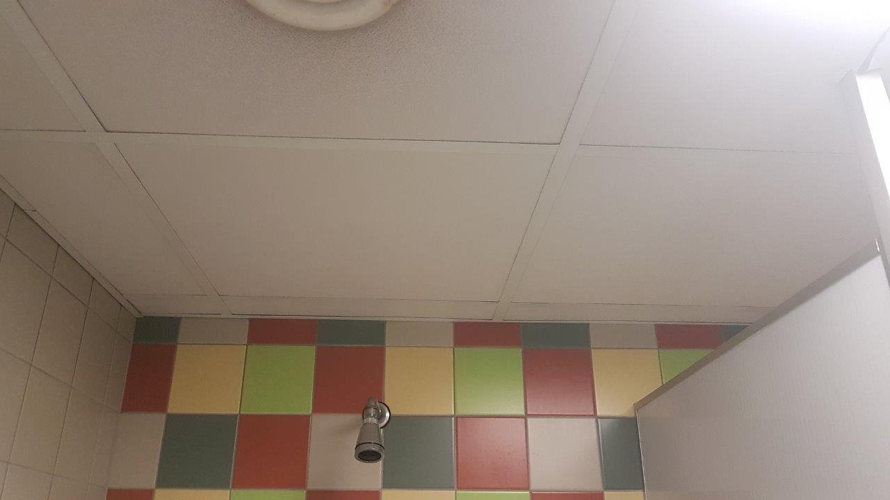 Iekšdarbi - SIA, Raco