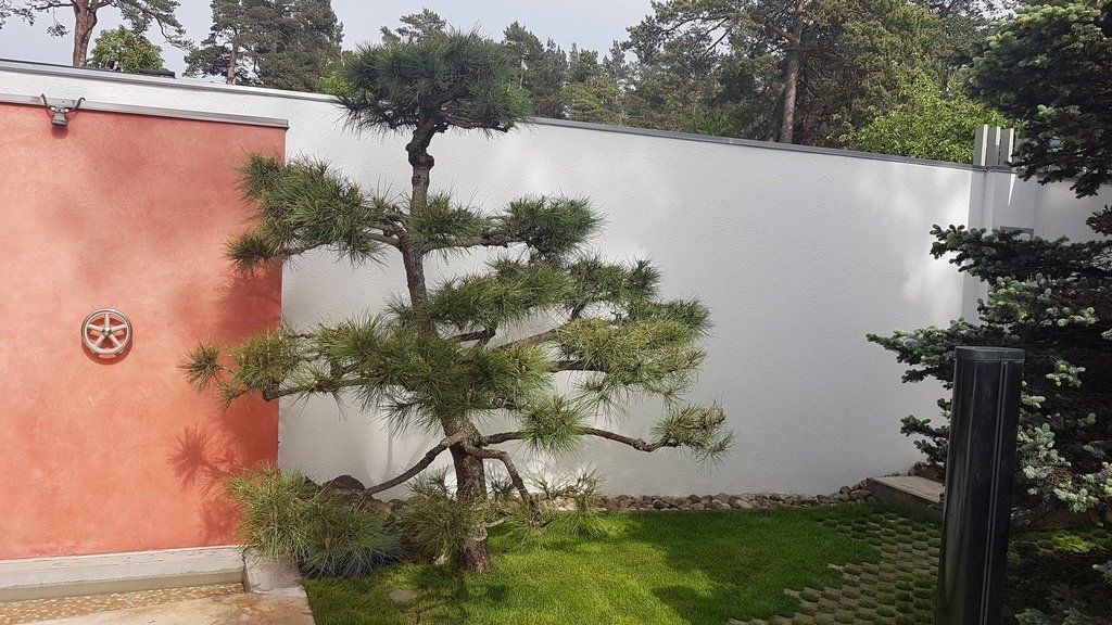 Dažādi būvdarbi - SIA, Raco