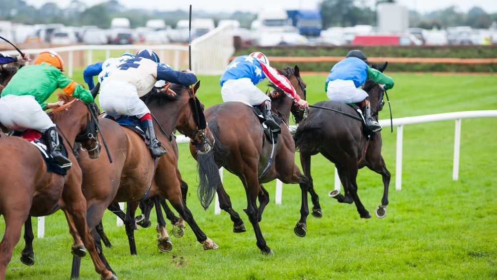 A Group Of Jockeys Are Riding Horses On A Race Track — Wagga Tradesman Accounting Services In Wagga Wagga, NSW