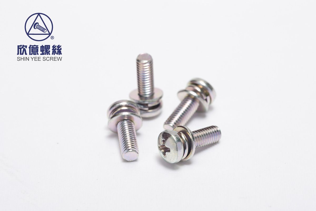 Pan Head Screws with Flat and Split Lock Washer