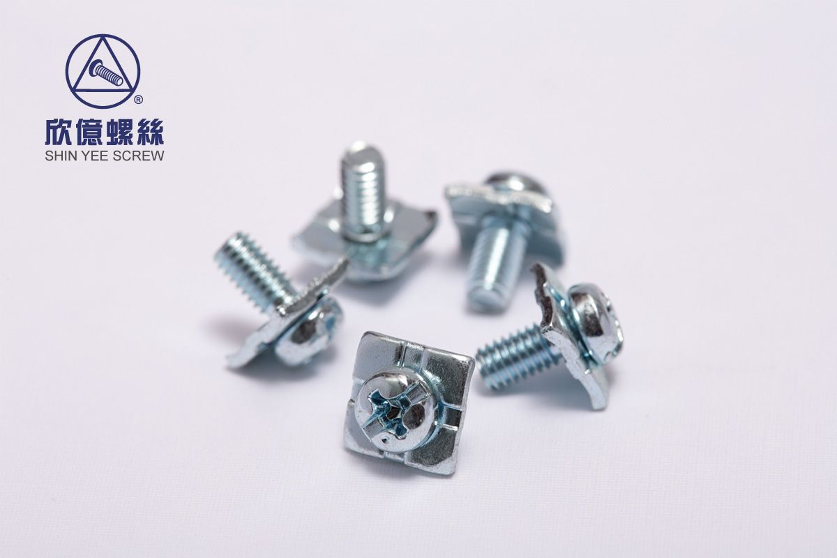 Pan Head Screws with Square washer