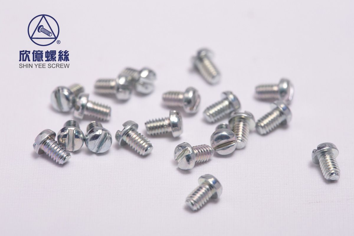 Micro Pan Head Slotted Screw