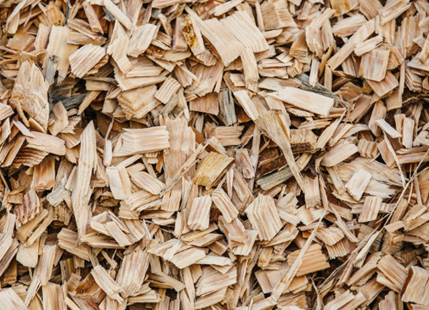 Wood Chips (undyed)