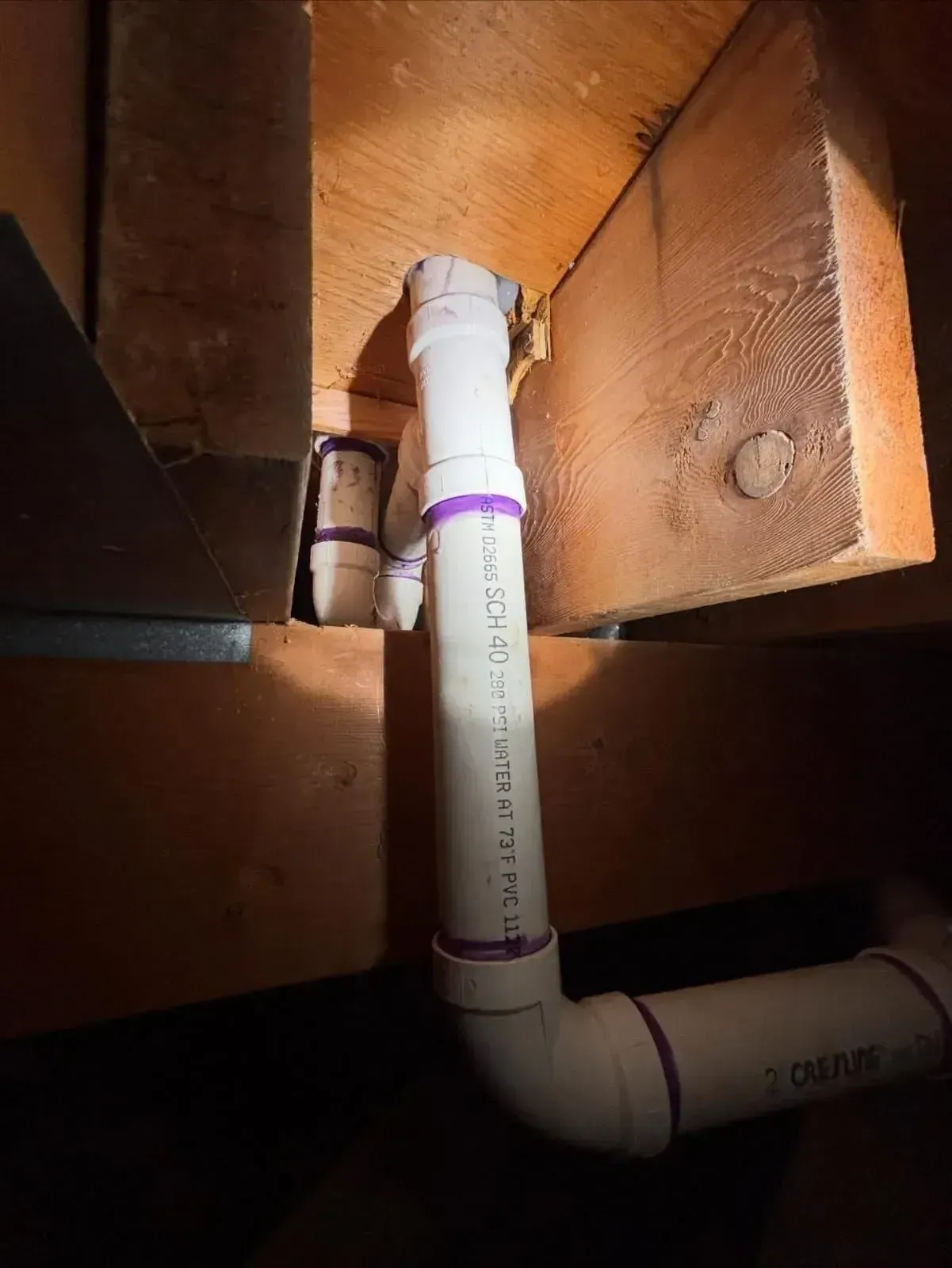 White PVC plumbing pipes with purple primer joints connected between wooden floor joists in an attic or crawlspace.