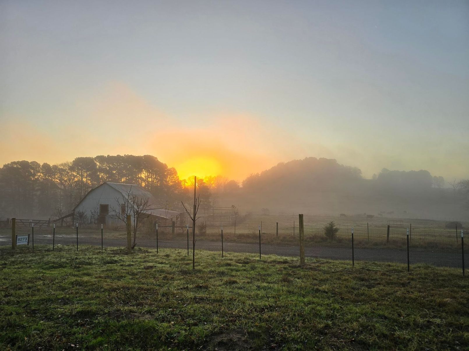 Sunrise over a foggy field, with a barn in the distance and a fence in the foreground.