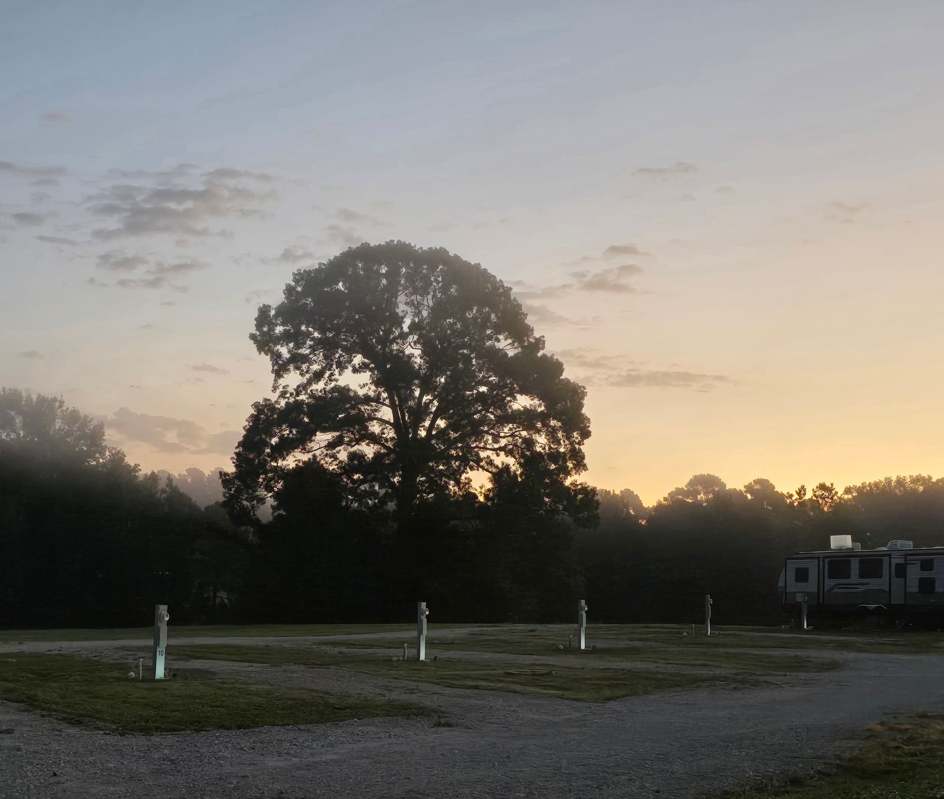 Campsite at dawn with a large tree, power hookups, RV, and a soft, light-filled sky.
