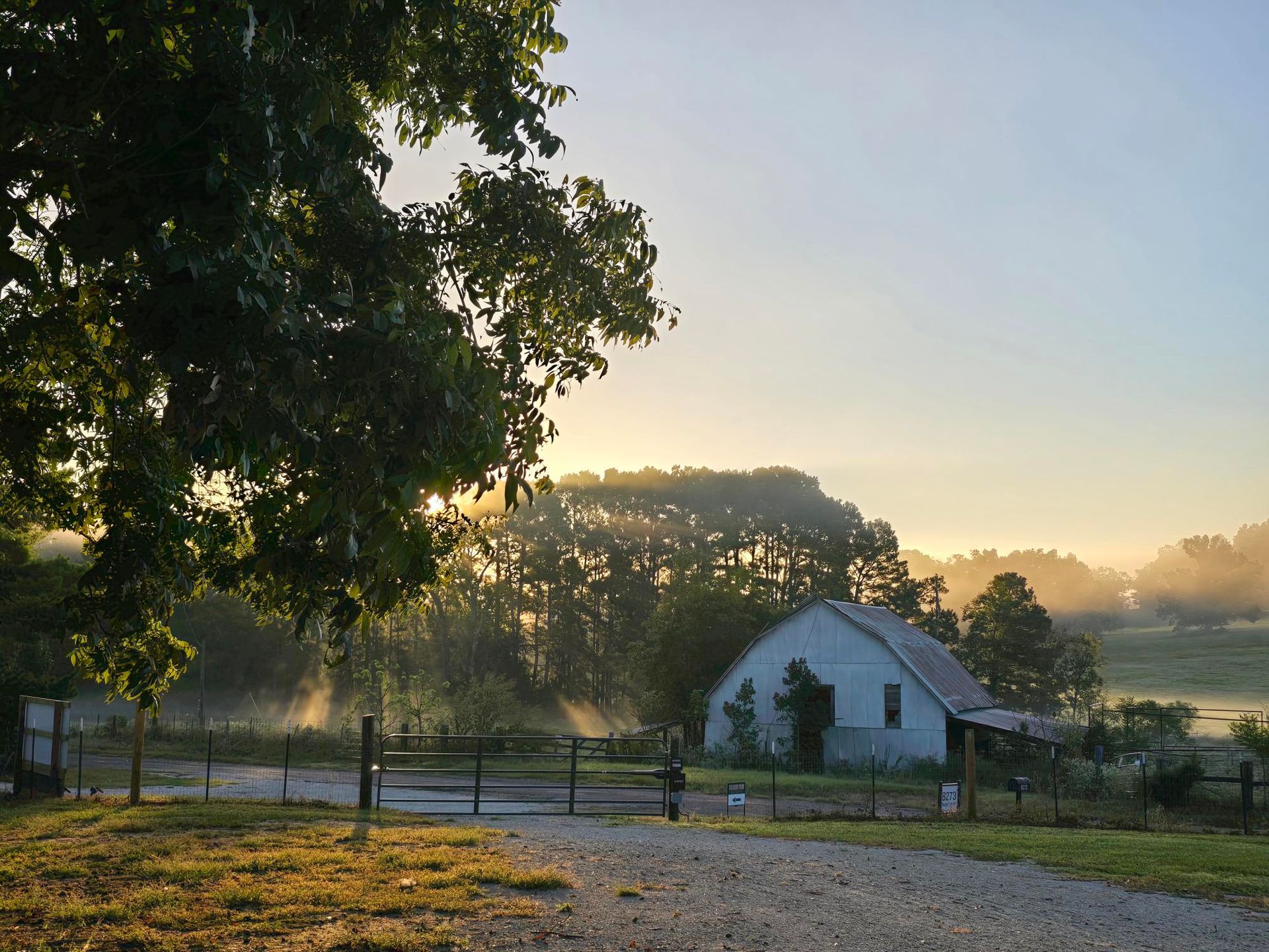 A sunlit rural scene with a weathered house behind a fence, trees, and a misty morning glow.