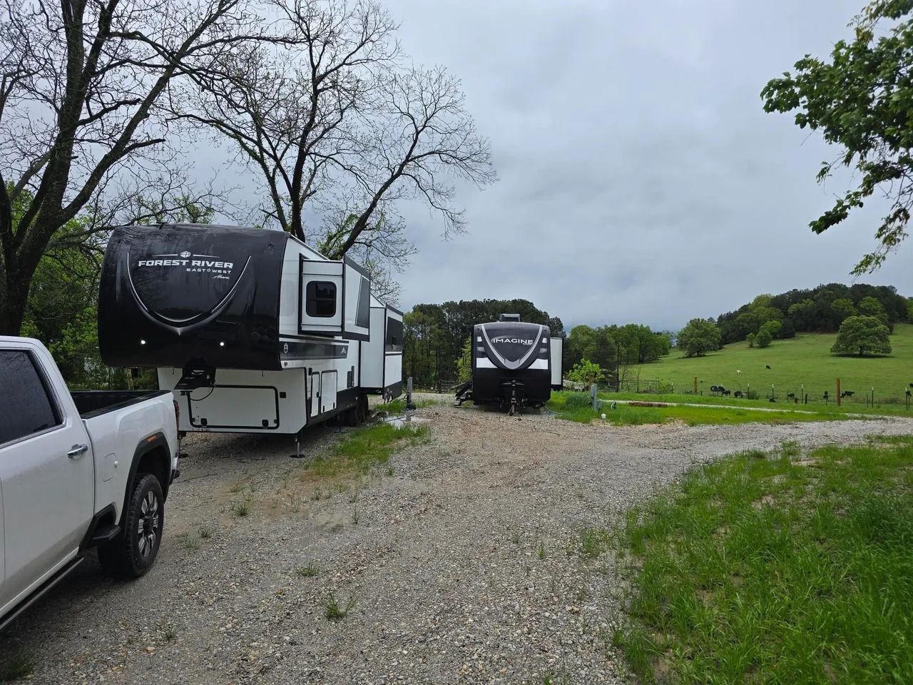 Two RVs parked on gravel, near a field with cows, under a cloudy sky.