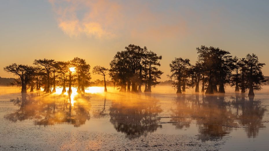 Sunrise over a flooded forest; trees in the water reflect the golden light.