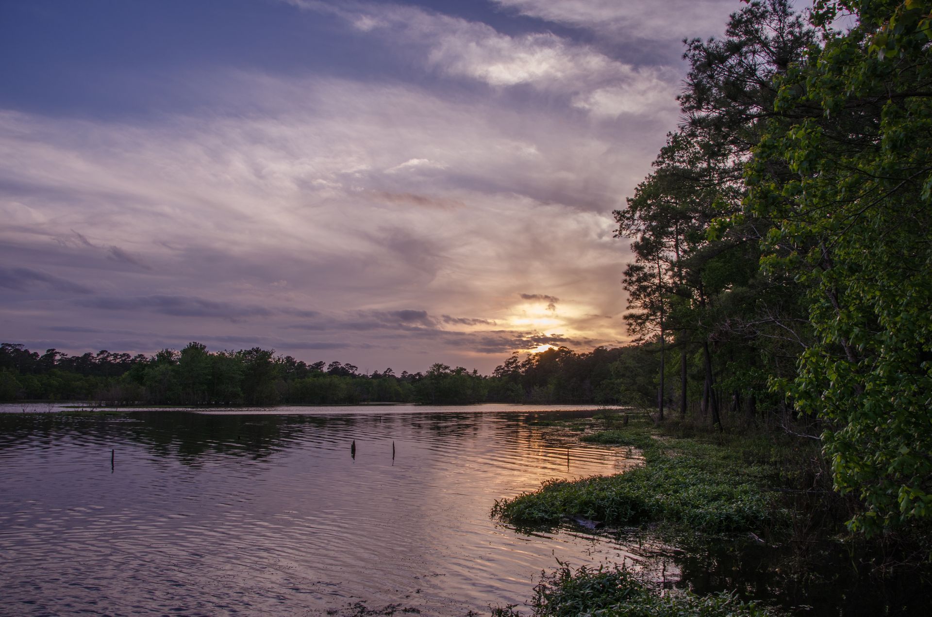 A calm lake reflects the purple and gold sunset, bordered by lush green trees and dark silhouettes.
