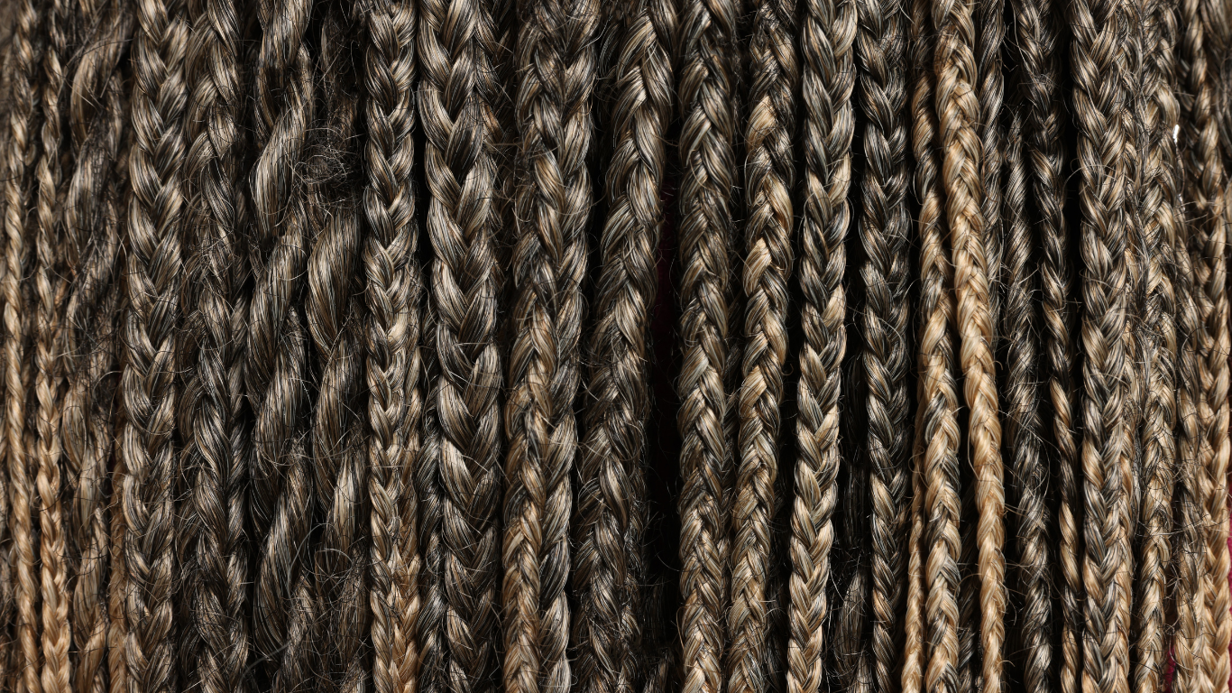 Close-up of numerous, tightly braided strands of dark brown and gold hair.