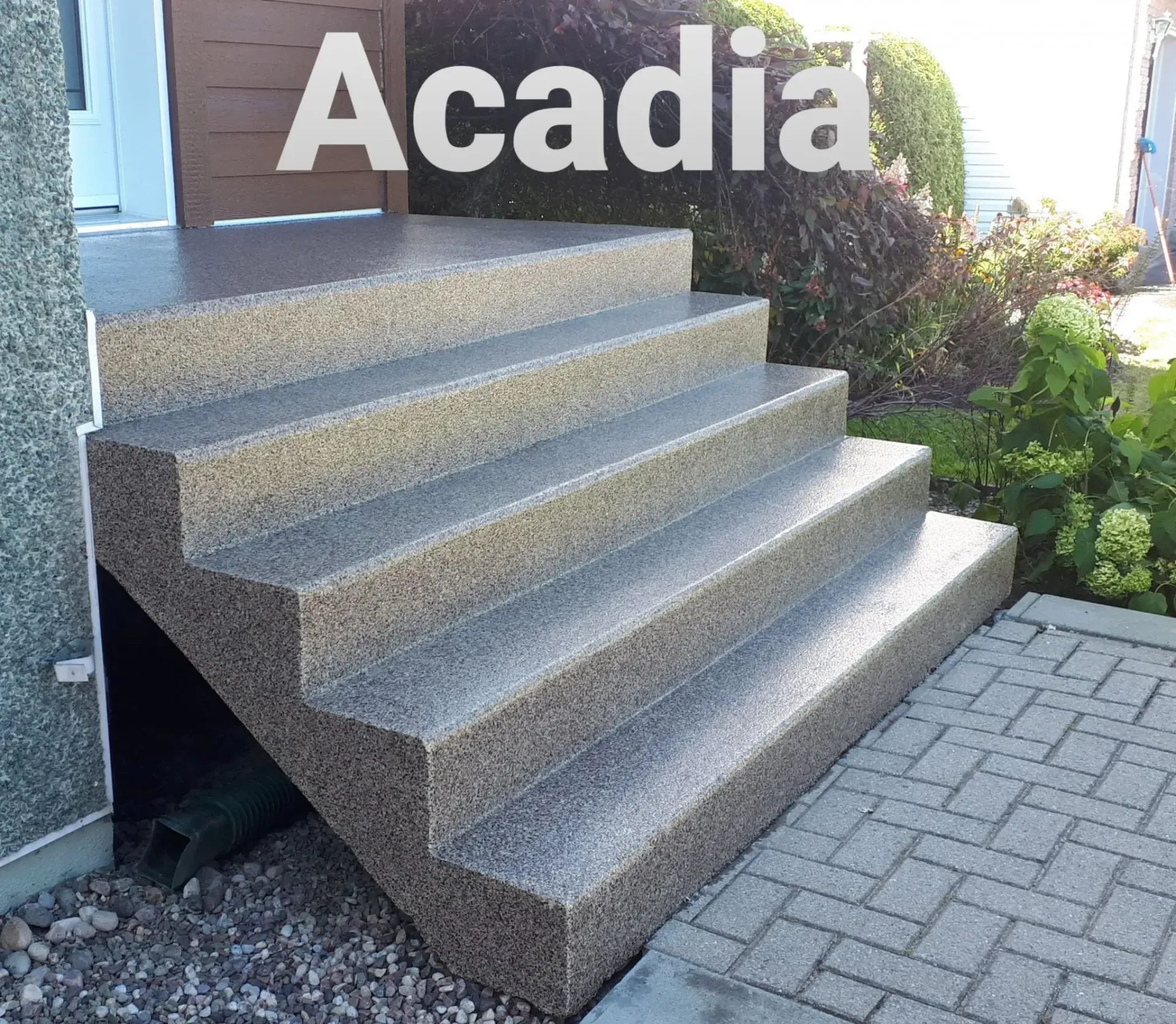 Granite steps leading up to a doorway, with a paved walkway to the right.