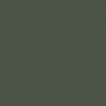 Dark green background with a lighter green horizontal bar at the top.