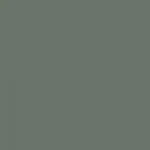 Solid, dark grayish-green background.