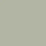 Solid light-greenish-gray background.