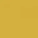 Solid mustard-yellow background.