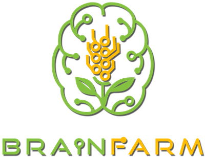 Brainfarm Logo