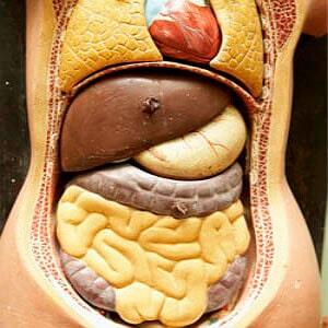 DR. FREDY BELMONTE PÉREZ - DIAGNÓSTICO OPORTUNO DR. FREDY BELMONTE PÉREZ - DIAGNÓSTICO OPORTUNO