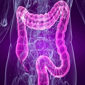 DR. FREDY BELMONTE PÉREZ - TRATAMIENTOS CERTEROS DR. FREDY BELMONTE PÉREZ - TRATAMIENTOS CERTEROS