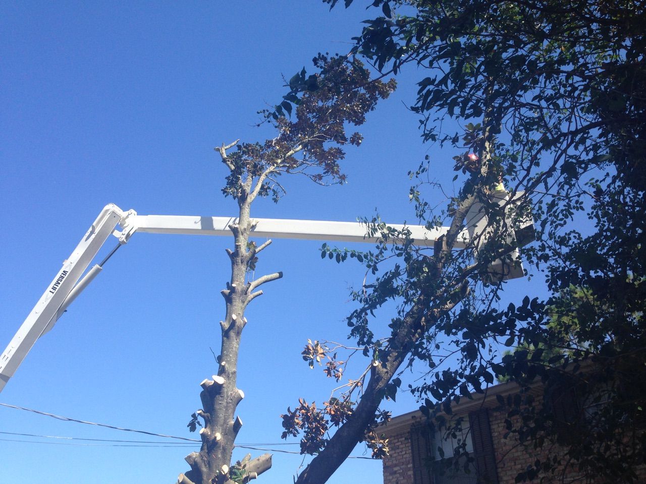 A man is working on a stump grinder in a yard