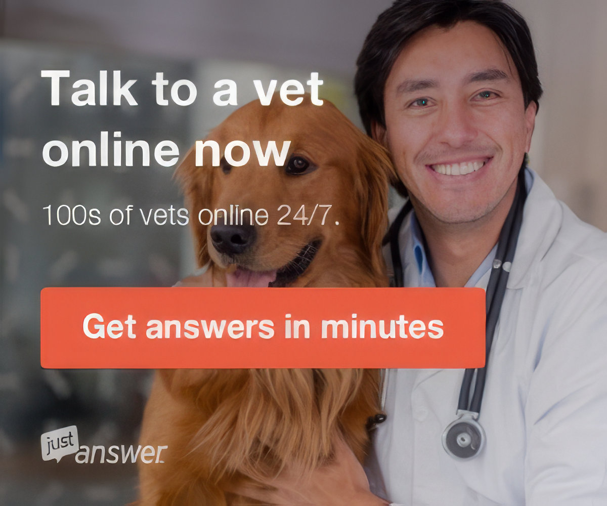 A doctor is holding a dog and says talk to a vet online now