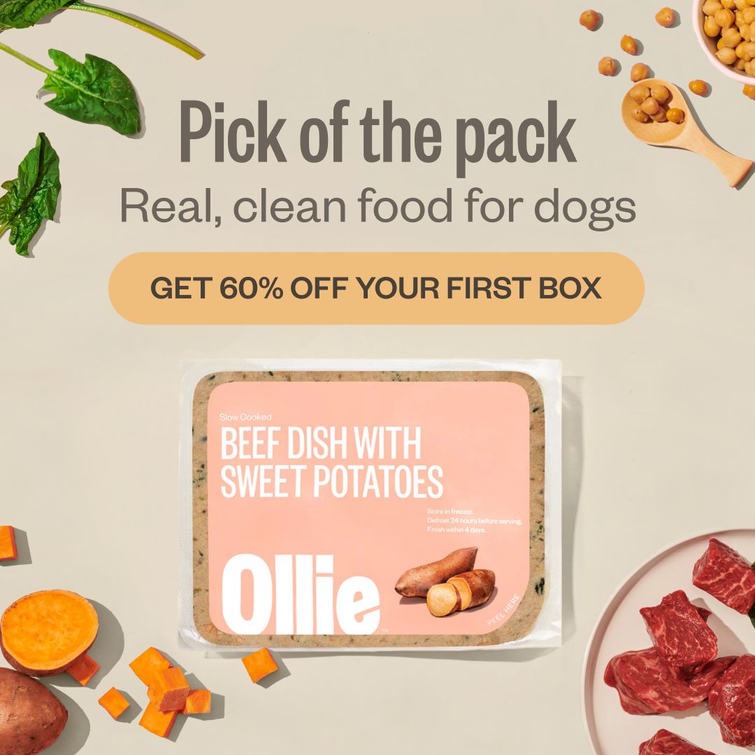 An advertisement for ollie dog food beef dish with sweet potatoes