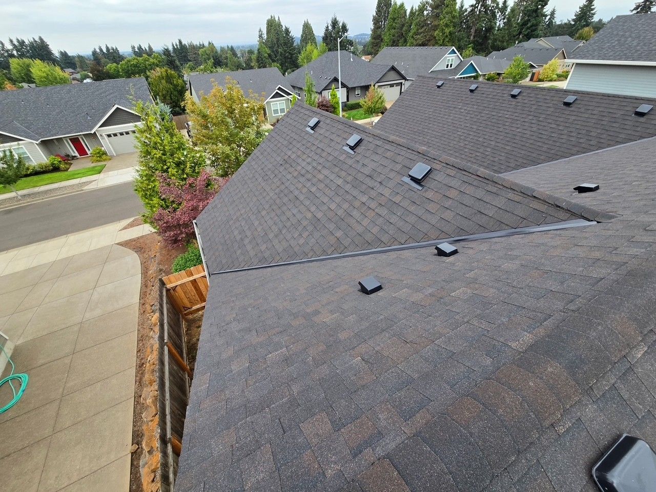 Dark shingle roofs on houses in a residential neighborhood, overcast day.