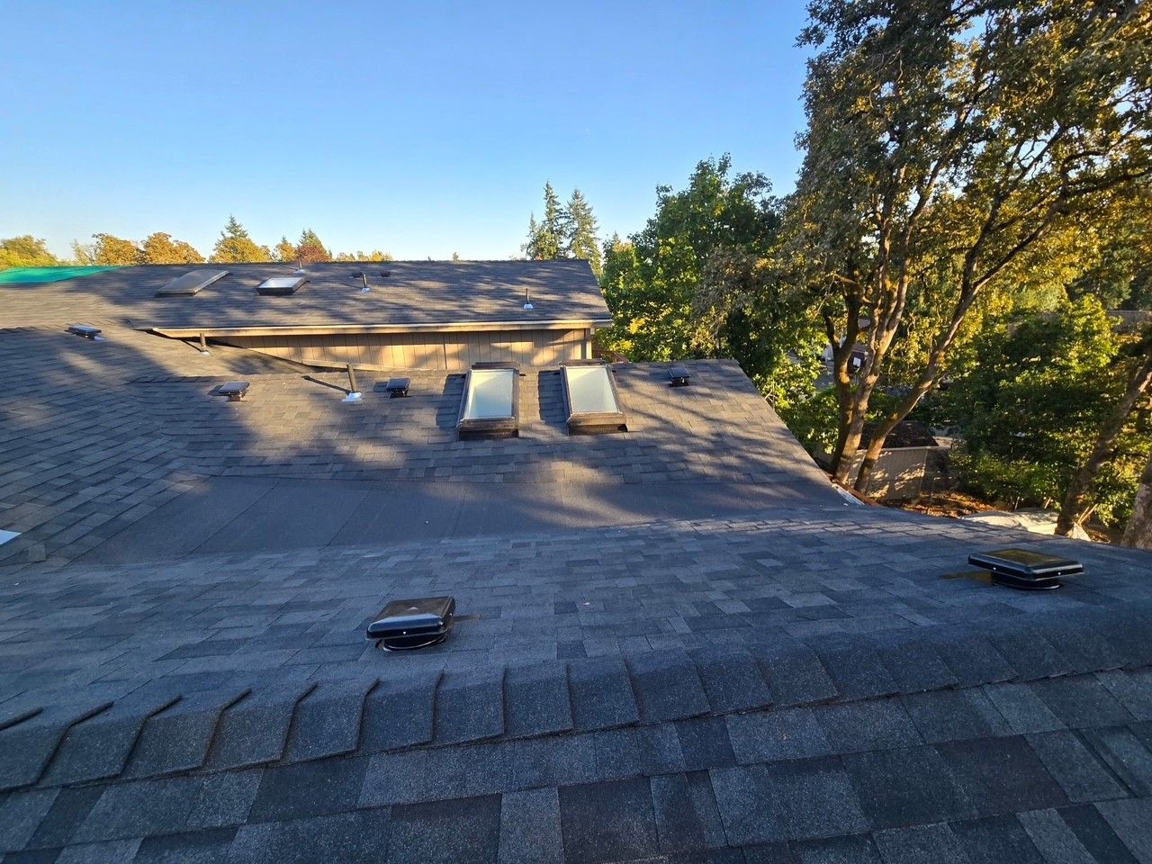 Dark gray shingle roof with skylights and vents against a blue sky, surrounded by trees.