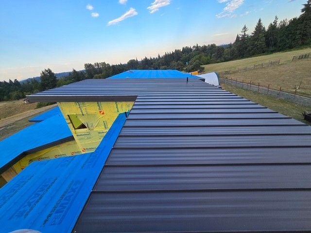 Dark gray metal roof with blue underlayment, set against a green hillside and blue sky.
