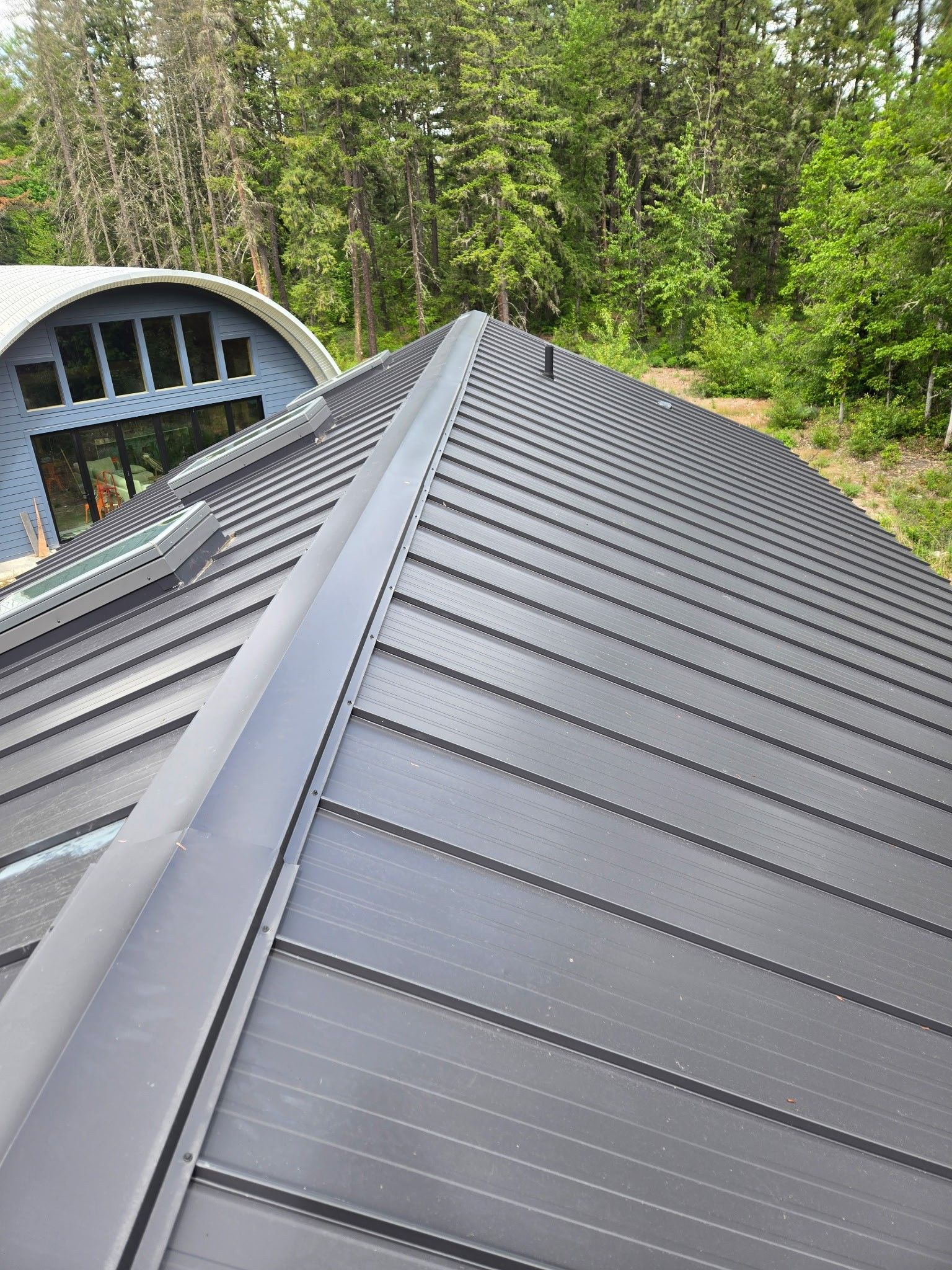Dark metal roof with curved ridges and a forest background.