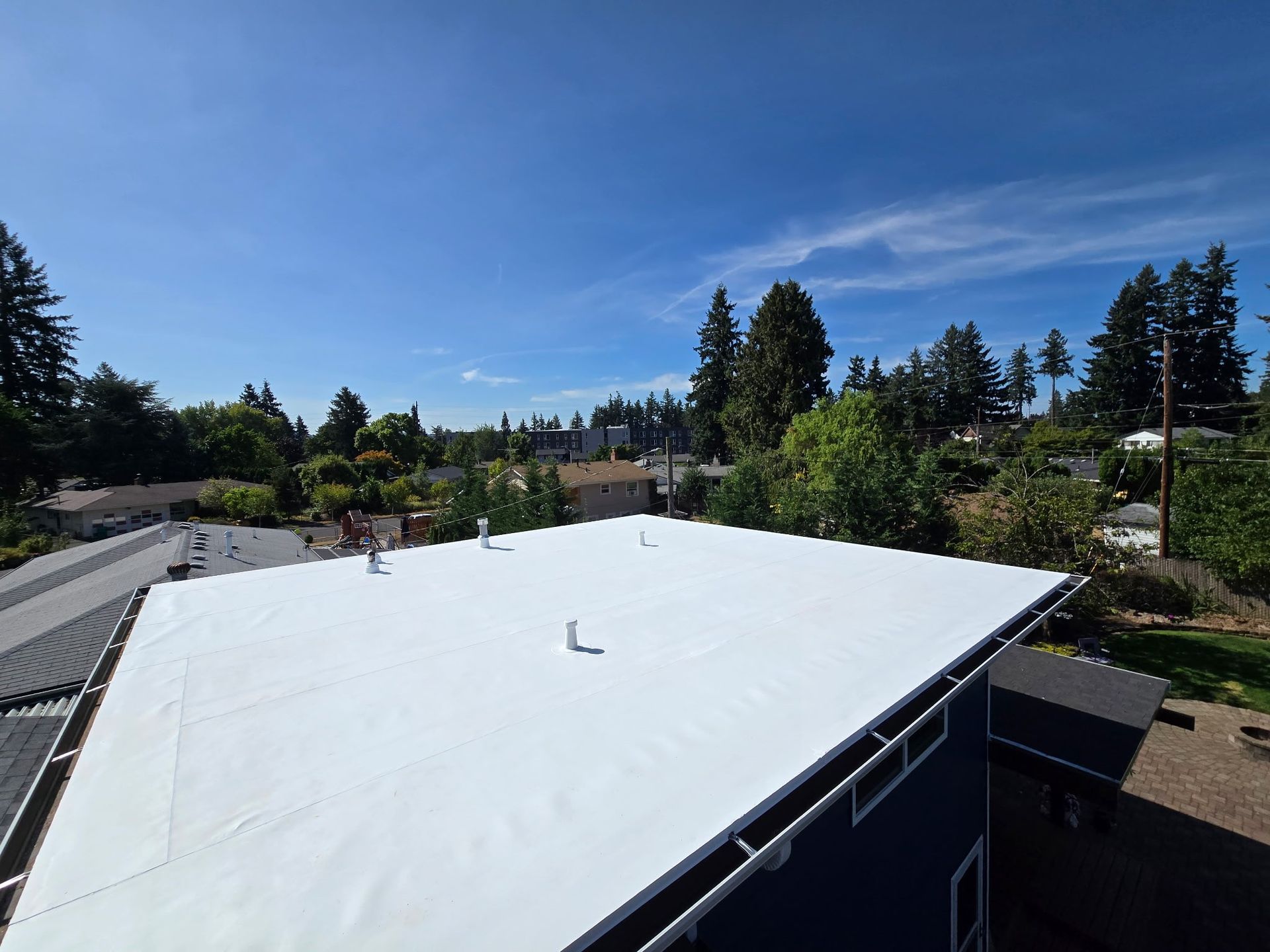 White flat roof on a building with a blue facade, surrounded by trees under a bright blue sky.