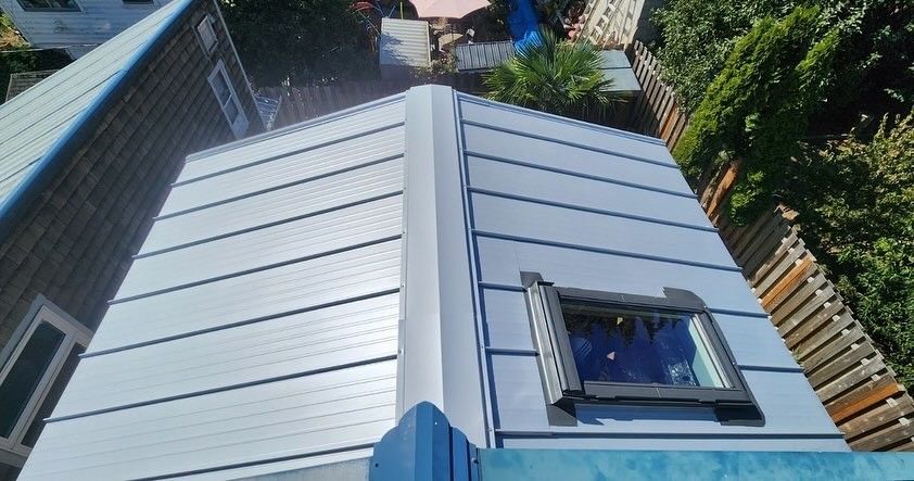 Overhead view of a gray metal roof with a skylight; green trees and other buildings visible in background.