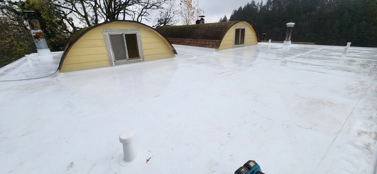 Snow-covered rooftop with two dome-shaped structures and surrounding trees. Overcast sky.