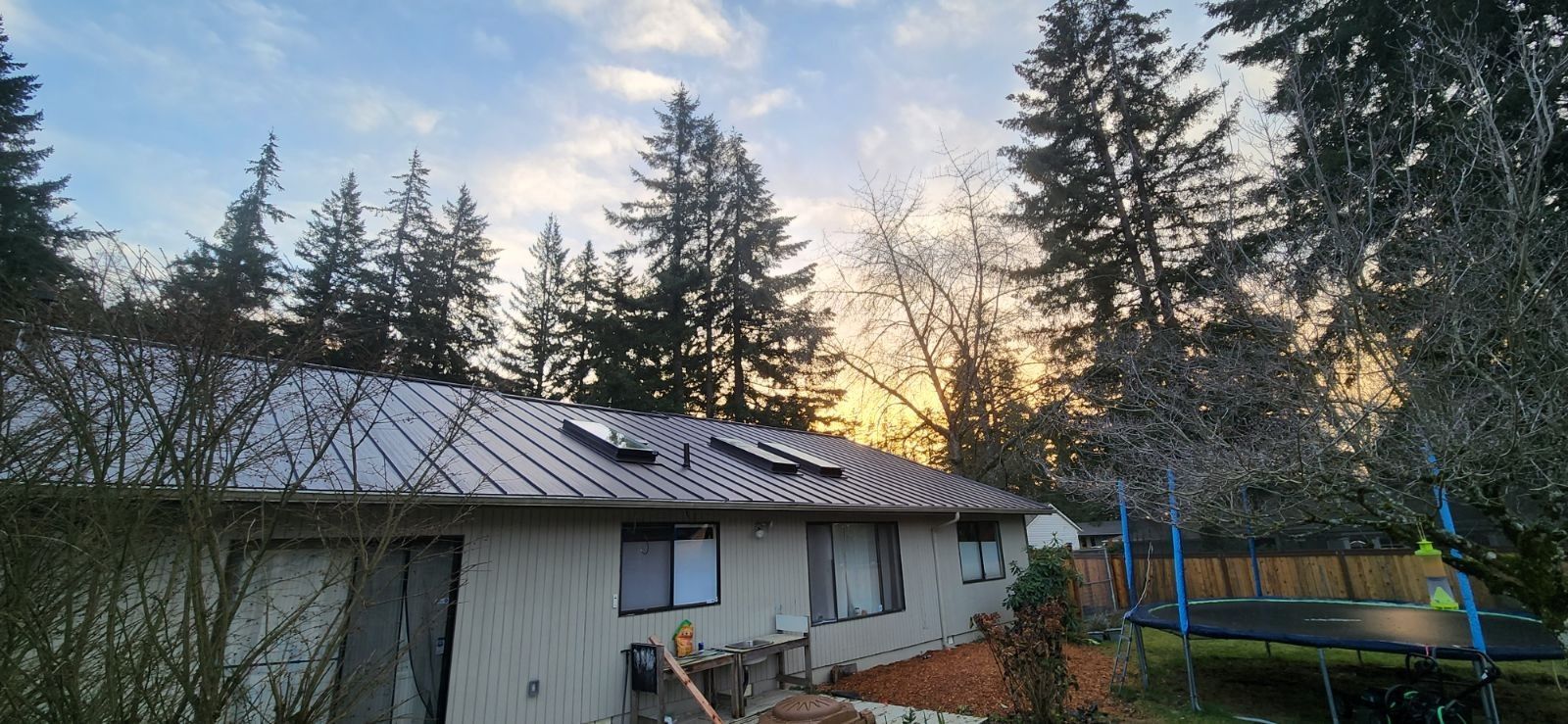 A house with a dark metal roof, skylights, and windows, surrounded by tall trees and a trampoline in the backyard.