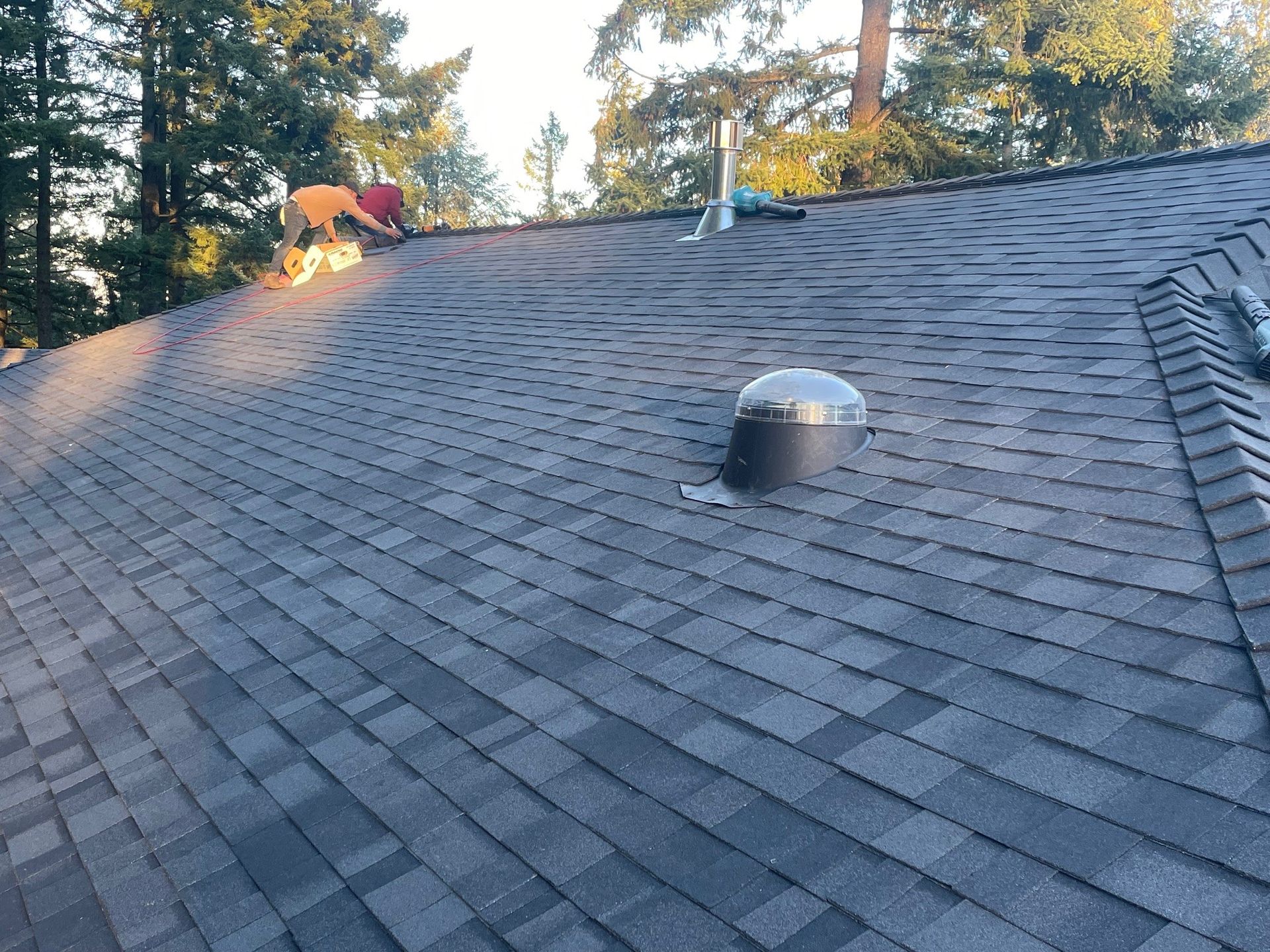 Dark asphalt shingle roof with a vent and some debris; trees in the background under sunlight.