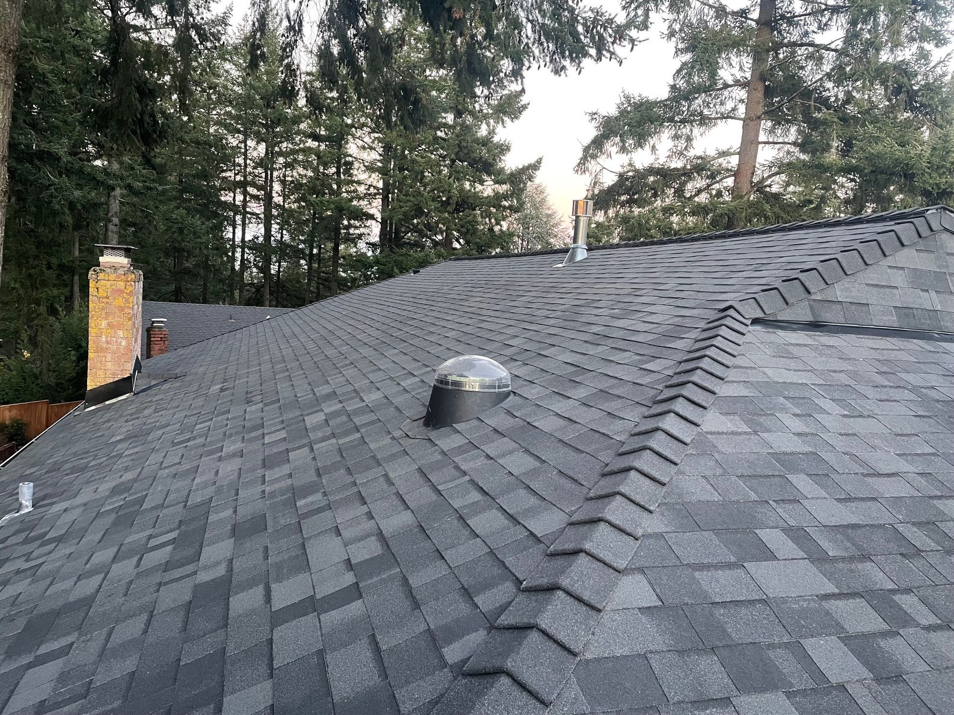 Dark gray asphalt shingle roof with a vent and chimney, surrounded by trees.