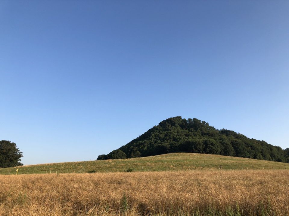 Photo with green grass on the hill top, and brown rye grass in the foreground.