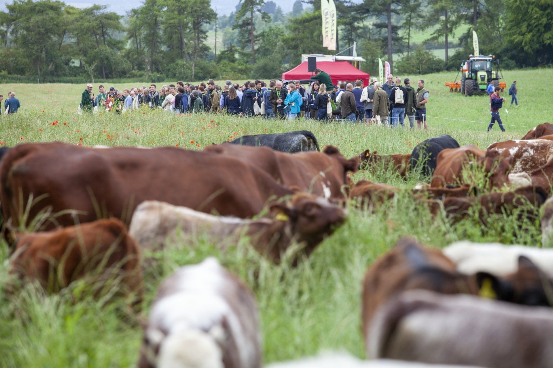 Image of people learning about mob grazing at Groundswell.