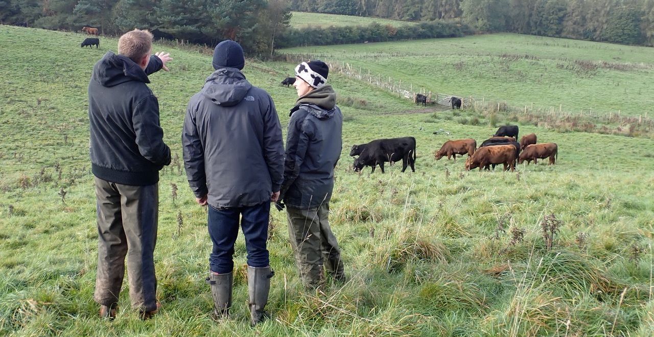 The team discusses positioning and the direction in which to move the cattle. Acknowledgement © M. Kunz