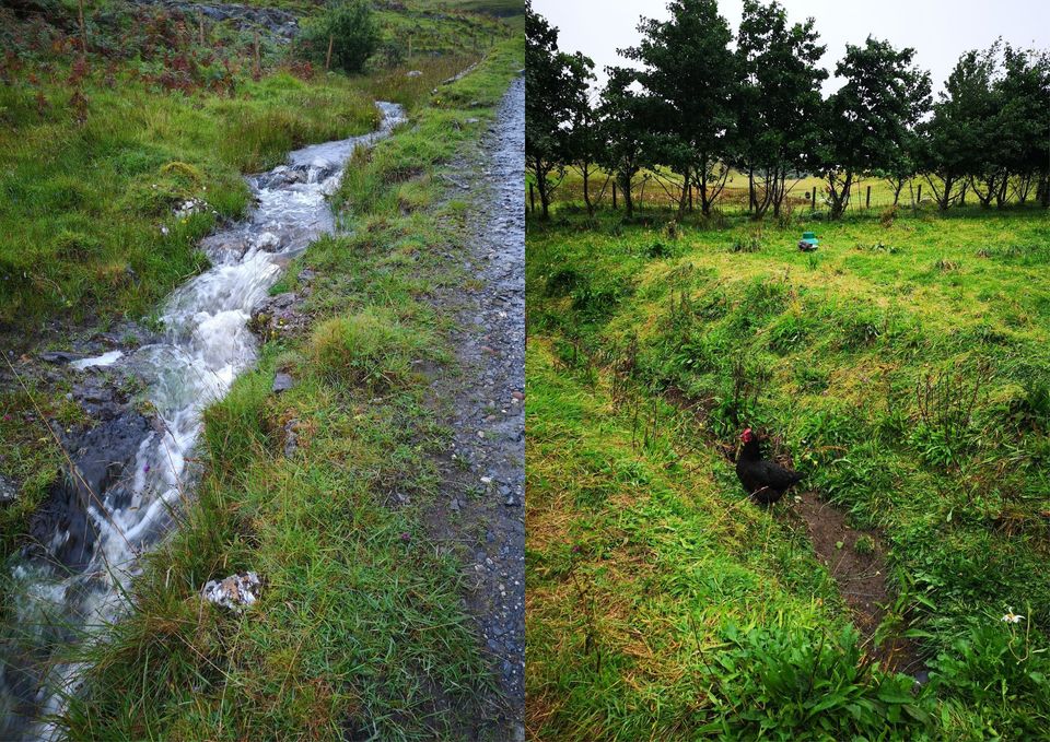Left image depicts a torrent of white water flooding the grass. Right image shows a former ditch that is dry with a chicken standing in it.
