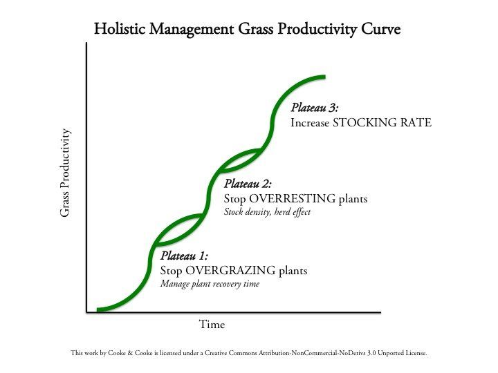 The Grass Productivity Curve