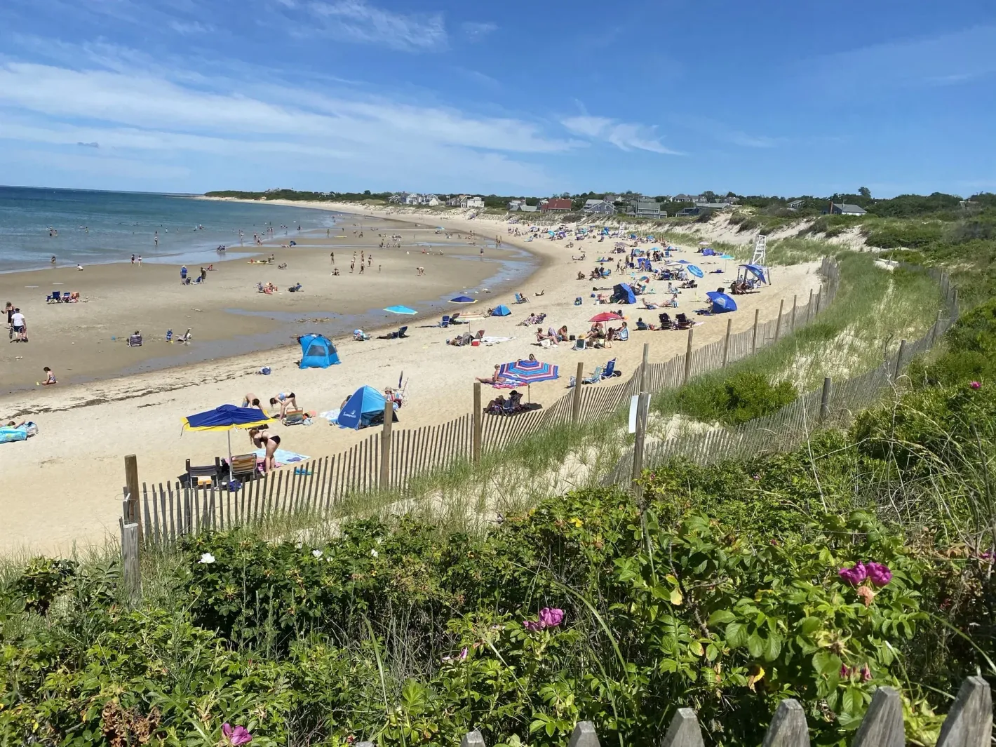 Sunny beach with umbrellas, swimmers, and dunes overlooking a calm shoreline