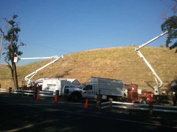 : Tree Trimming - Land Clearing & Leveling Contractors in Hood River, OR