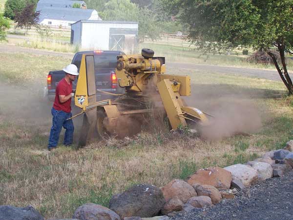 Stump Grinding - Land Clearing & Leveling Contractors in Hood River, OR