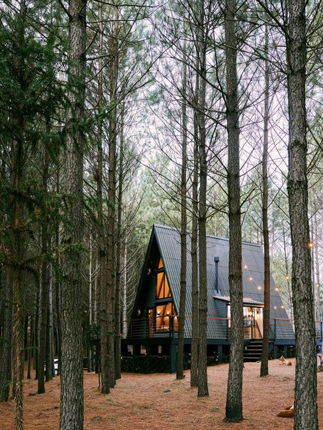 An a frame cabin in the middle of a forest surrounded by trees.