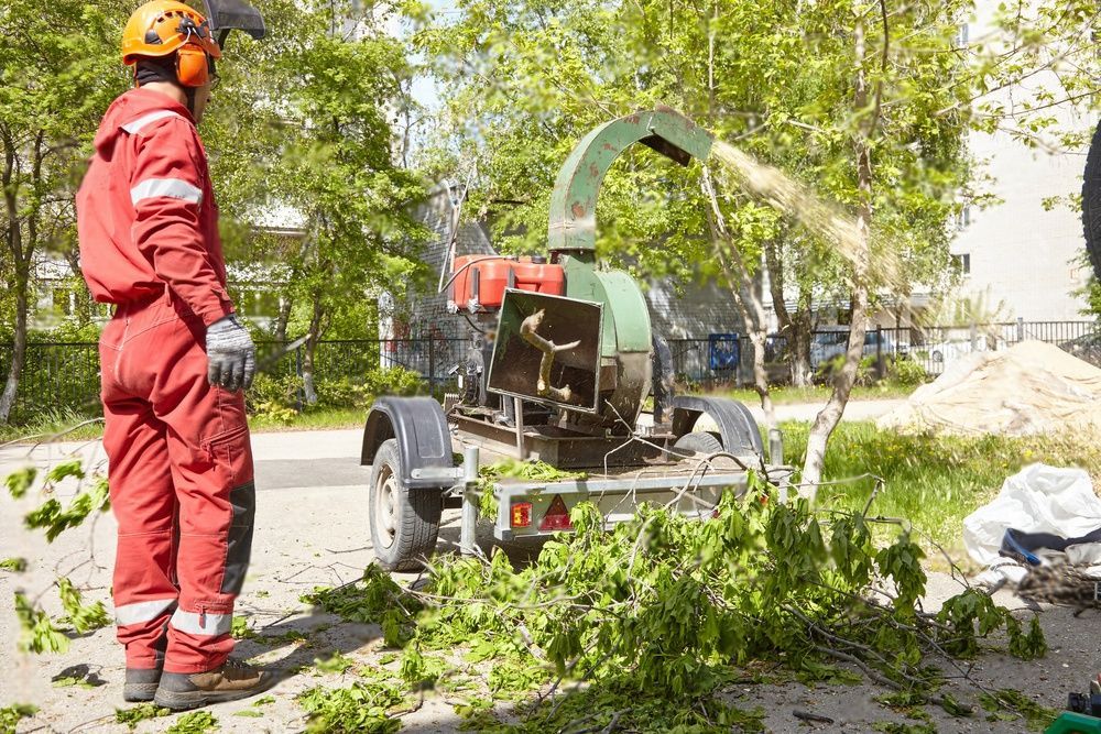 An arborist looks on as a wood chipper reduces tree branches into fine wood chips.