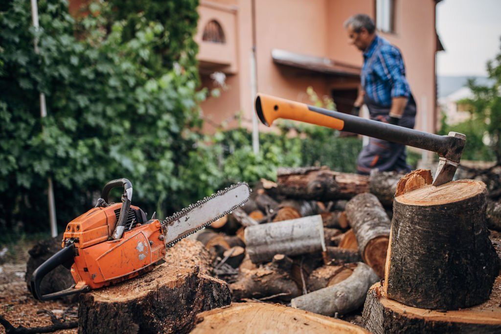 Chainsaw and axe on tree stumps with man on a checkered shirt and logs in the background.