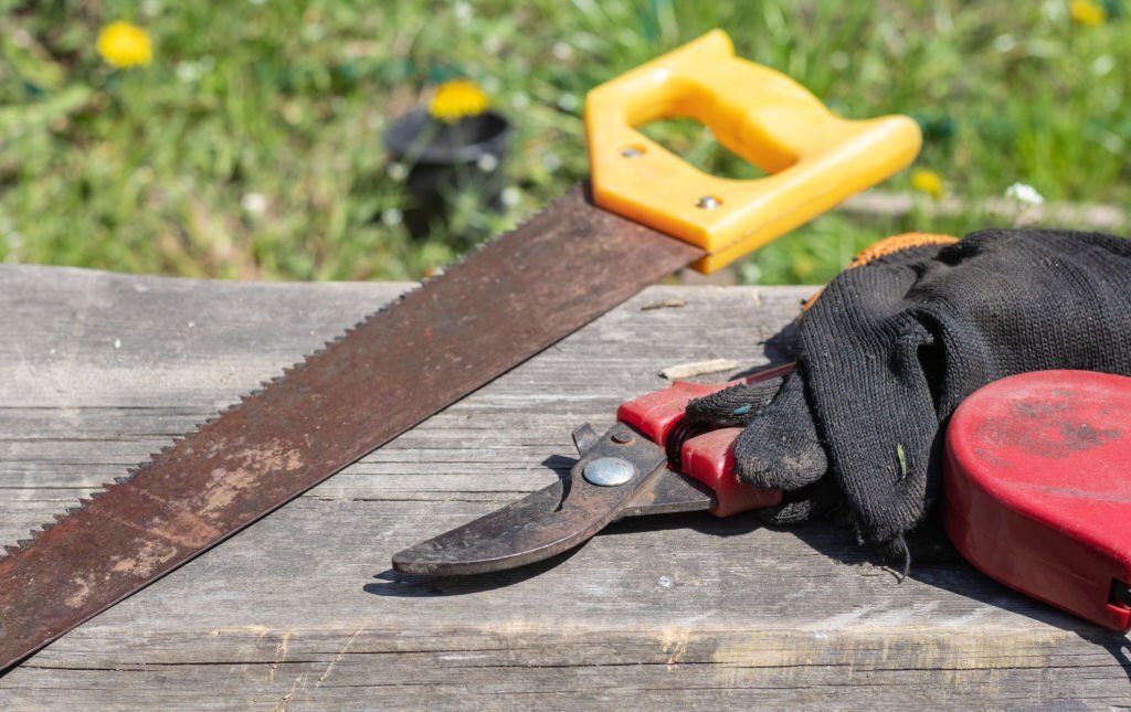 Rusty pruning saw and garden shear.