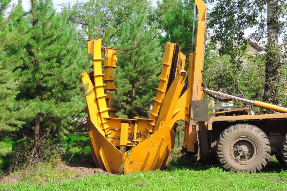 A yellow transplanter.