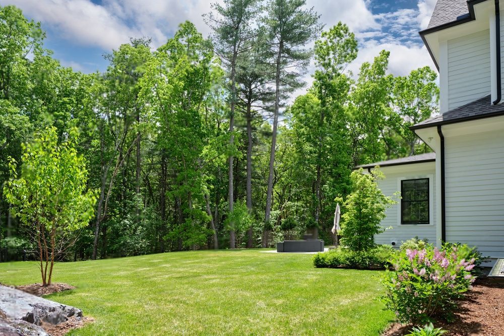 House surrounded by trees in a fairly good distance.d